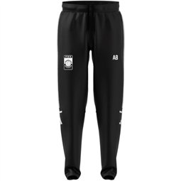 FSV Lok DD Präsentationshose lang Unisex